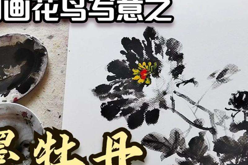 Facebook软件注册教程：详细步骤与注意事项