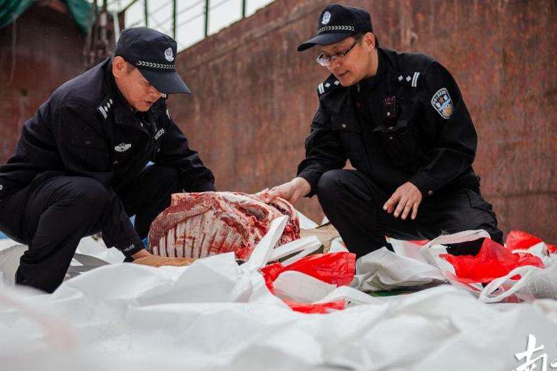 Facebook软件的安装流程与常见问题